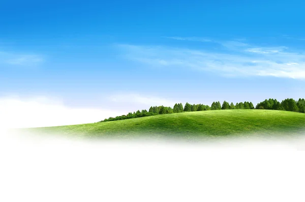 Зеленое поле Стоковая Картинка