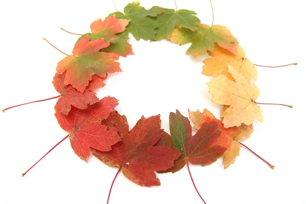 Autumn changes — Stock Photo, Image