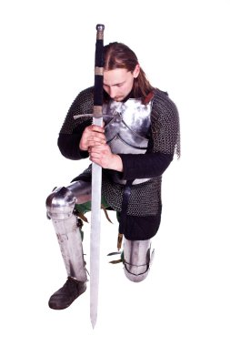 The knight. clipart