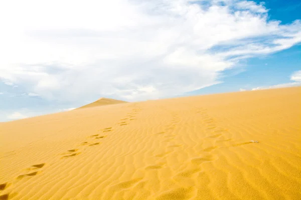 stock image Desert