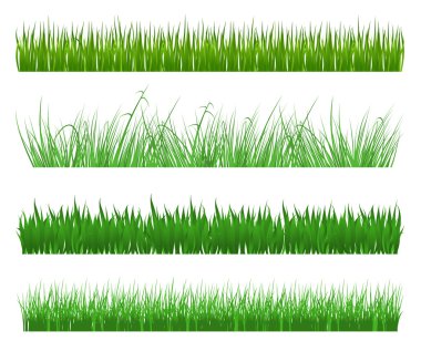 Green grass clipart