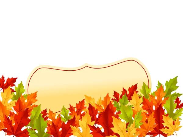 Autumn leaves on white background — Stock Vector