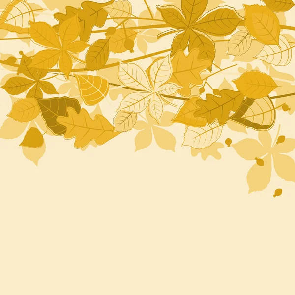 Autumnal leaves background — Stock Vector