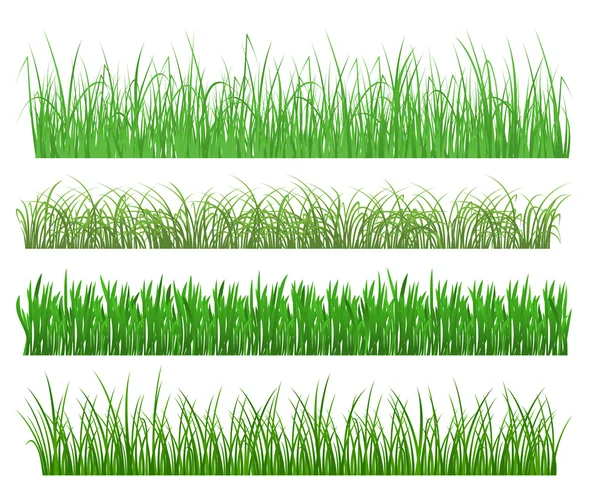 Hierba verde y plantas — Vector de stock