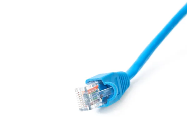 Nätverk kabel-kontakt — Stockfoto