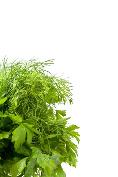 Parsley and dil — Stock Photo, Image