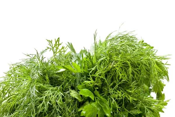 Parsley and dil — Stock Photo, Image