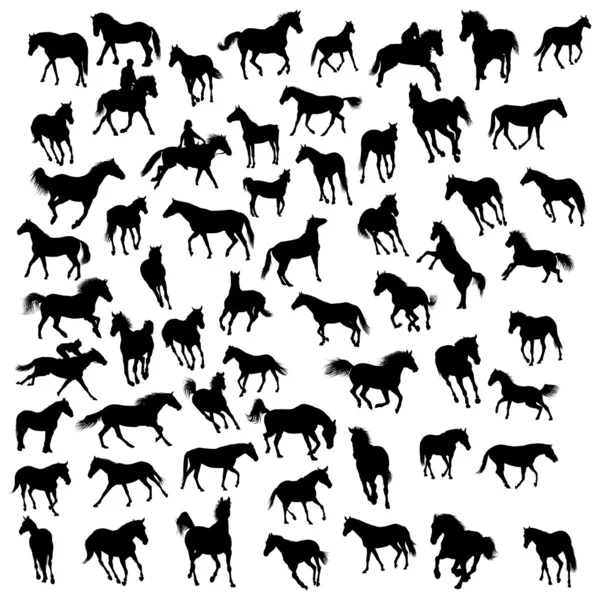 Hästar siluetter — Stock vektor