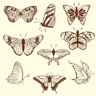 Set of differnet sketch butterfly clipart