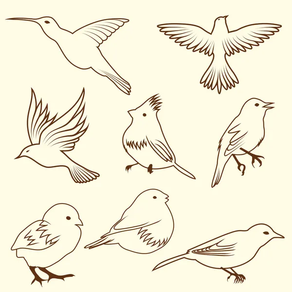 Conjunto de pájaro de boceto diferencial — Vector de stock