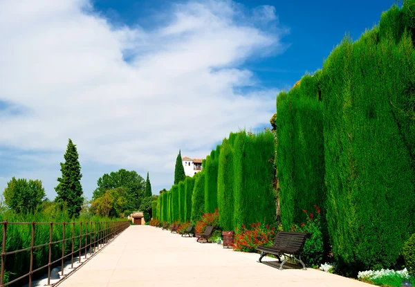 Alhambra trädgård — Stockfoto