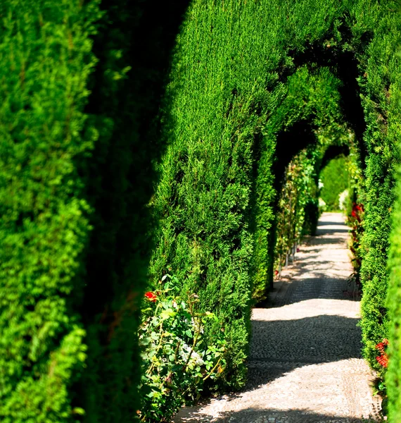 アルハンブラ宮殿の庭園 — ストック写真