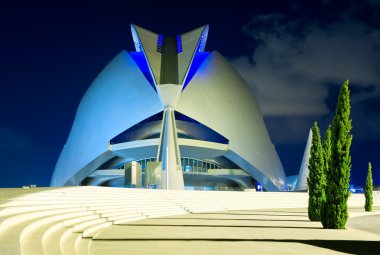 The City of Arts and Sciences Valencia, Spain clipart