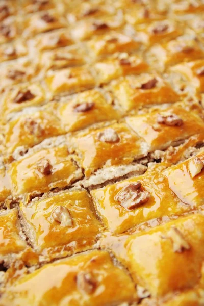Baklava with the nuts — Stock Photo, Image