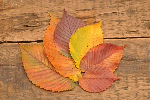 Yellow autumn leaves on old wood — Stock Photo, Image