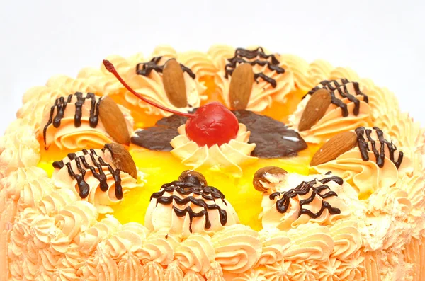 Gros plan beau gâteau aux fruits décoré — Photo