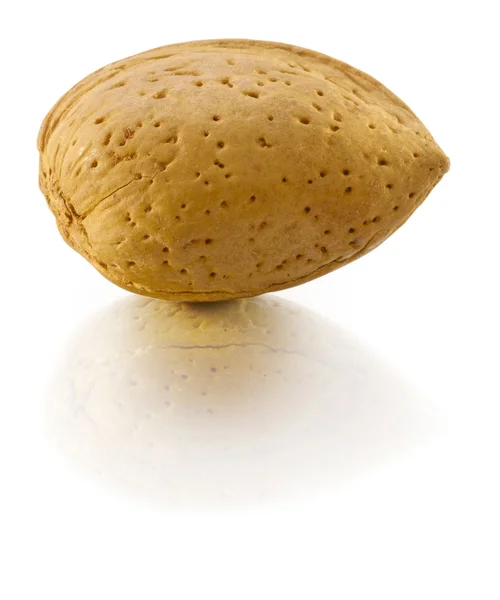 Almond in nutshell — Stock Photo, Image
