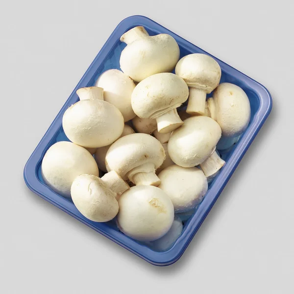 Edible Mushrooms — Stock Photo, Image