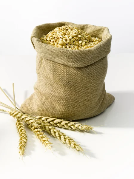 Tahıl ile çanta — Stok fotoğraf