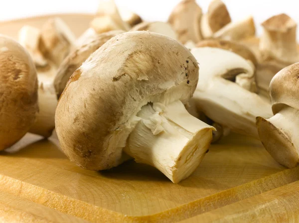 stock image Edible mushrooms