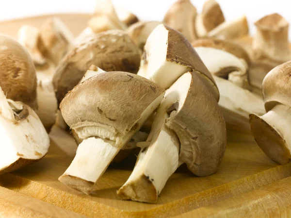 stock image Edible mushrooms