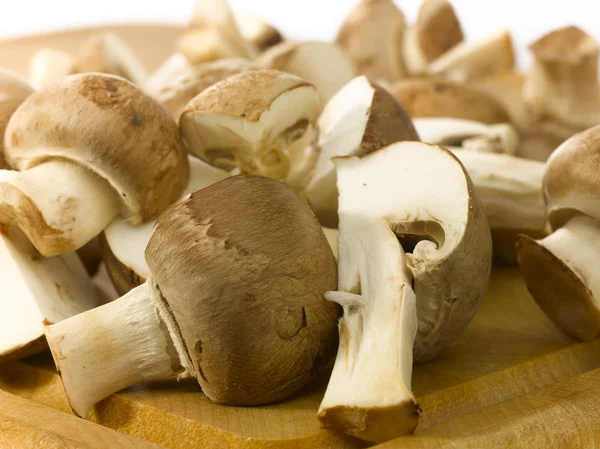 stock image Edible mushrooms