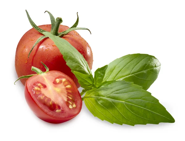 Tomat basilika — Stockfoto