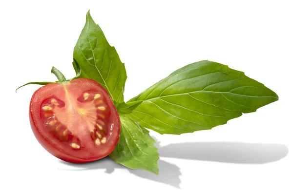 Tomat med en basilika blad — Stockfoto