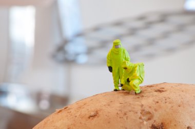 Group of Researchers in protective suit inspecting a potato. clipart