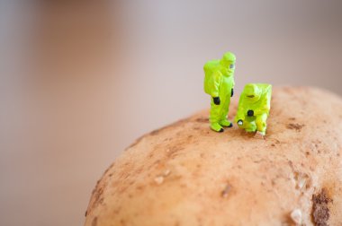 Group of Researchers in protective suit inspecting a potato. clipart