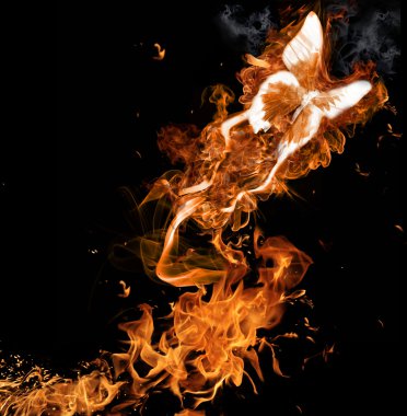 Fire butterfly clipart