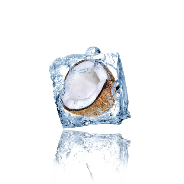 Кокос, замороженный в кубике льда — стоковое фото