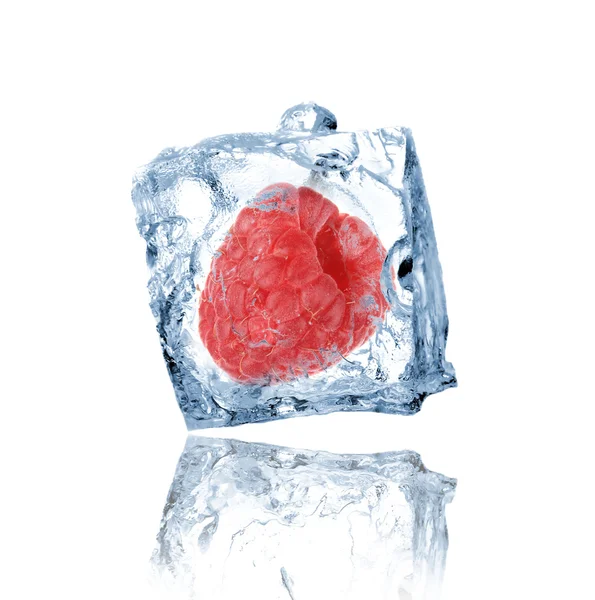 Малина, замороженная в кубике льда — стоковое фото