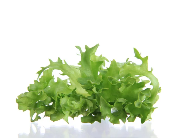 Insalata fresca — Foto Stock