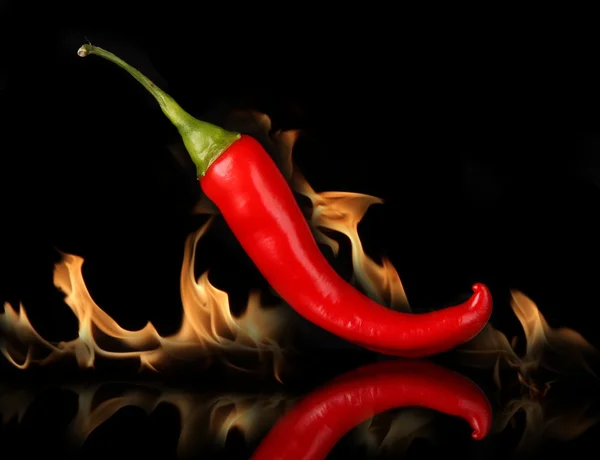 Rode chili peper geïsoleerd op zwart — Stockfoto