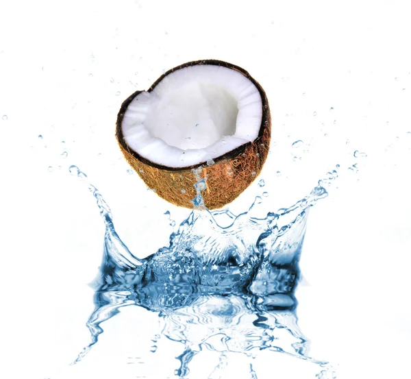 Kokosnoot gedaald in water splash op wit — Stockfoto