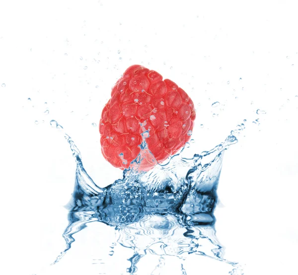 Raspberry dropped into water splash on white — Stock Photo, Image