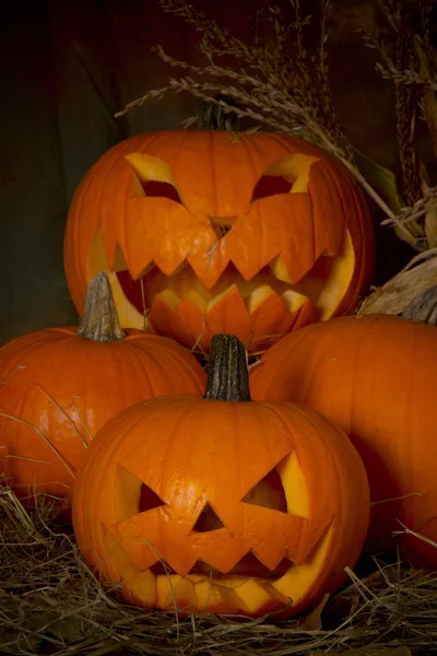 Calabaza de Halloween —  Fotos de Stock