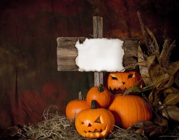 Calabazas de Halloween con cartel de madera — Foto de Stock