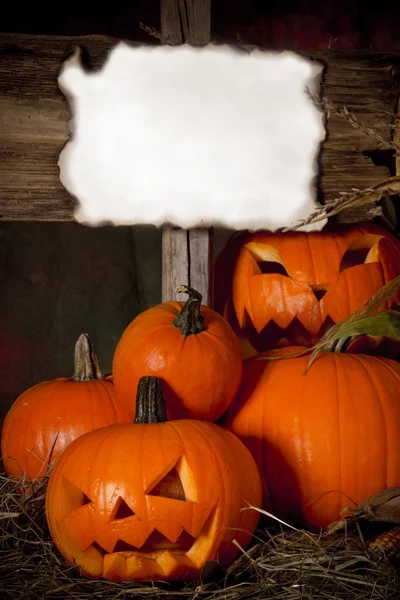 Abóboras de Halloween com cartaz de madeira — Fotografia de Stock