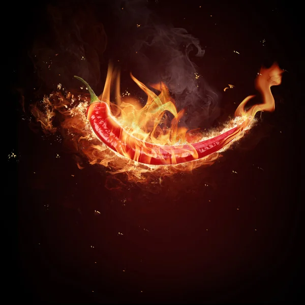 Hot Chili peper — Stockfoto
