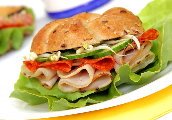 Frisches leckeres Sandwich — Stockfoto