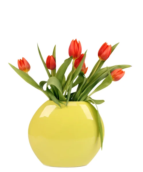 Bouquet of tulips isolated — Stock Photo, Image