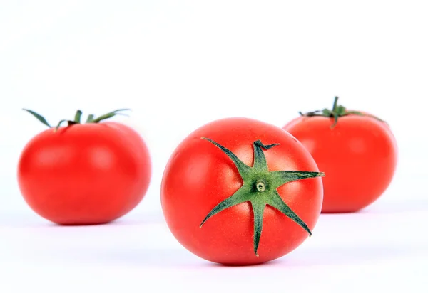 Tomaten op wit — Stockfoto