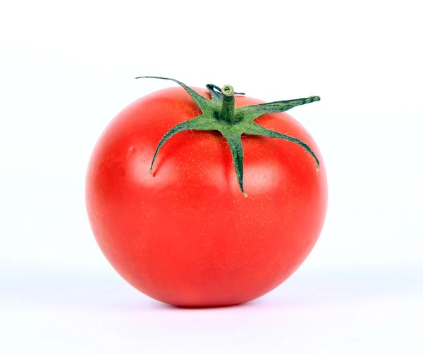 Cherry tomaat — Stockfoto