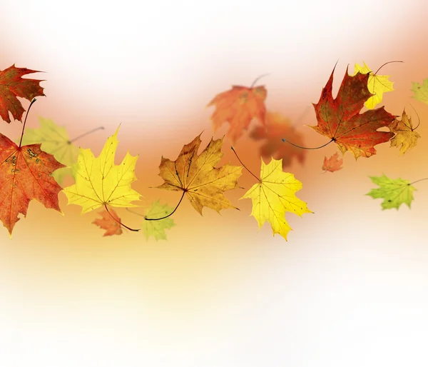Осенний фон . — стоковое фото