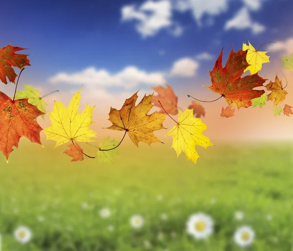Der Herbst naht — Stockfoto