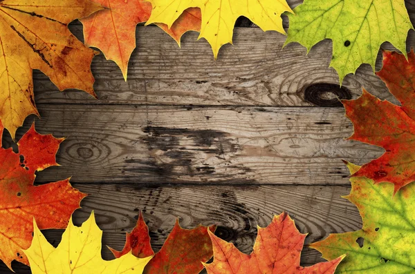 Autumn leaves over old wooden background — Stock Photo, Image