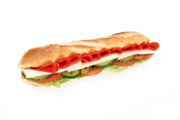 stock image Tasty gyros baguette