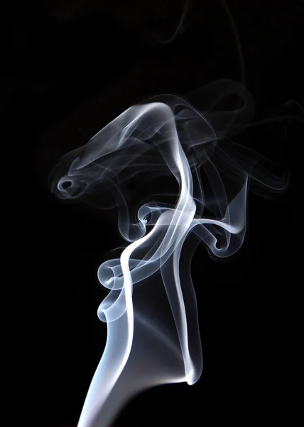 Rook geïsoleerd op een zwarte achtergrond — Stockfoto